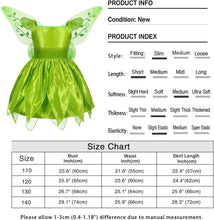 Load image into Gallery viewer, Princess Fairy Costume

